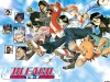 Bleach Image 41