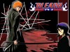 Bleach Image 48