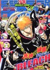 Bleach Image 11
