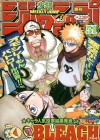 Bleach Image 12