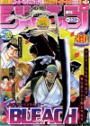 Bleach Image 3