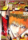 Bleach Image 9