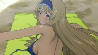 IS: Infinite Stratos Image 5