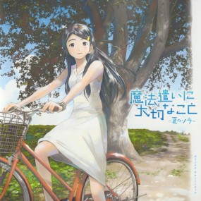Affiche de l'anime Mahou tsukai ni taisetsu na koto