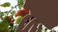 Mahou tsukai ni taisetsu na koto Image 4