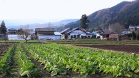 Fukushima : Les voix silencieuses Image 3