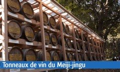 Tonneaux de vin du Meiji-jingu Image 1