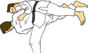 Le Judo