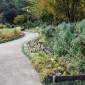 Le parc Shiba : un écrin de verdure au pied de la Tokyo ... Image 2
