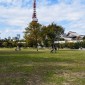 Le parc Shiba : un écrin de verdure au pied de la Tokyo ... Image 3
