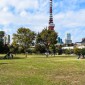 Le parc Shiba : un écrin de verdure au pied de la Tokyo ... Image 4