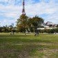 Le parc Shiba : un écrin de verdure au pied de la Tokyo ... Image 3
