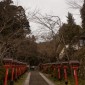 Mont Kurama : une randonnée mystique entre nature et ... Image 2