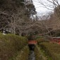 Mont Kurama : une randonnée mystique entre nature et ... Image 3