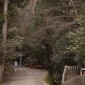 Mont Kurama : une randonnée mystique entre nature et ... Image 4