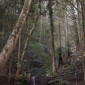 Mont Kurama : une randonnée mystique entre nature et ... Image 7