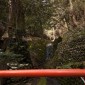 Mont Kurama : une randonnée mystique entre nature et ... Image 9