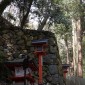 Mont Kurama : une randonnée mystique entre nature et ... Image 13