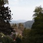 Mont Kurama : une randonnée mystique entre nature et ... Image 18