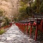 Mont Kurama : une randonnée mystique entre nature et ... Image 21