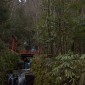 Mont Kurama : une randonnée mystique entre nature et ... Image 22