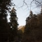 Mont Kurama : une randonnée mystique entre nature et ... Image 25