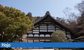 Le jardin Hojo : sérénité et élégance au cœur de Kyoto