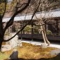 Le jardin Hojo : sérénité et élégance au cœur de Kyoto Image 9