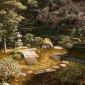 Le jardin Hojo : sérénité et élégance au cœur de Kyoto Image 18