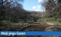 Meiji-jingu Gyoen : le jardin impérial de Tokyo Image 1