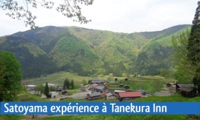 Vue en hauteur sur le village de campagne japonais Tanekura Inn