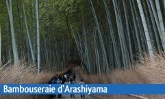 La bambouseraie d'Arashiyama Image 1