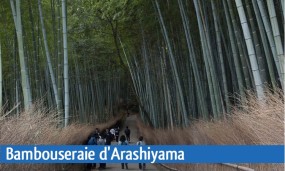 Chemin traversant la bambouseraie d’Arashiyama à Kyoto