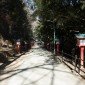 Mont Takao : une aventure nature à seulement 1h de Tokyo Image 1