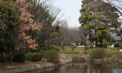 Kitanomaru-koen Image 1