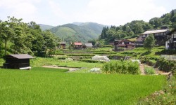 Satoyama : les paysages traditionnels du Japon