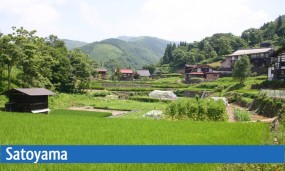 Satoyama : les paysages traditionnels du Japon