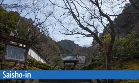 Le temple Saisho-in à Kyoto
