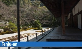Jardin japonais du temple Tenju-an vu depuis sa véranda à Kyoto
