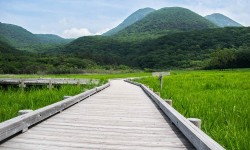 Tadewara Marsh : une promenade au sein des paysages préservés de Kyushu