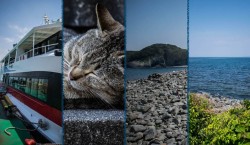 Aino-shima : Une île près de Fukuoka, entre nature et chats sauvages
