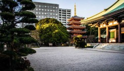 Tocho-ji : le temple de Fukuoka qui cache un secret sculpté dans le bois