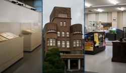 The Kyushu University Museum : nature, fossiles, histoire