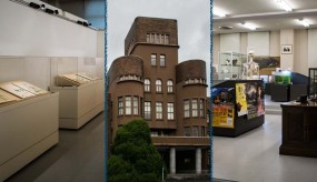 The Kyushu University Museum : nature, fossiles, histoire