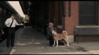 HACHI Yakusoku no Inu Image 4