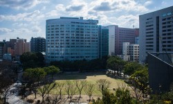 Tenjin Central Park et son observatoire : Une escapade urbaine à Fukuoka