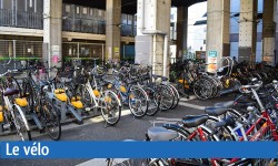 Circuler à vélo au Japon : guide pratique pour les étrangers