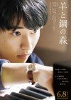 Hitsuji to Hagane no Mori Image 1