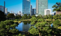 Kyu Shiba Rikyu Onshi Teien : un écrin de calme au cœur de Tokyo