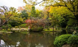 Le parc Arisugawa-no-miya : entre nature, calme et urbanité à Tokyo